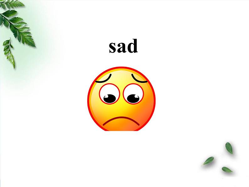 鲁科版(五四制)小学五年级英语上册 Unit 2 Feelings Lesson 2 课件04