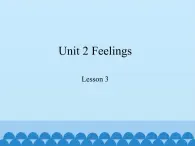 鲁科版（五四制）小学五年级英语上册 Unit 2 Feelings  Lesson 3     课件