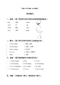 牛津译林版一年级上册Unit 4 Is this a teddy?精品综合训练题