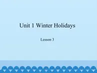 鲁科版（五四制）小学五年级英语下册 Unit 1 Winter Holidays  Lesson 3   课件