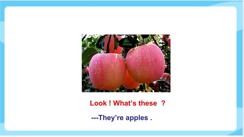 人教精通版五年级上册英语-Unit6 It’s a grapefruit. lesson35 课件+教案+练习+素材06