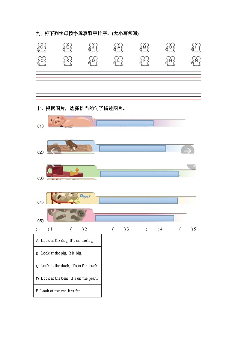 【核心素养目标】人教版PEP小学英语 三年级上册 Unit 4 We love animals Part A Letters and sounds课件+教案+练习(含教学反思和答案)03