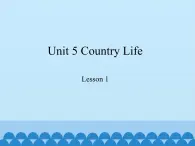 鲁科版（五四制）小学五年级英语下册 Unit 5 Country Life  Lesson 1  课件