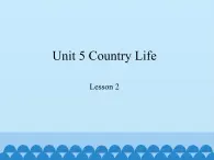 鲁科版（五四制）小学五年级英语下册 Unit 5 Country Life  Lesson 2  课件