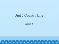 鲁科版（五四制）小学五年级英语下册 Unit 5 Country Life  Lesson 3  课件