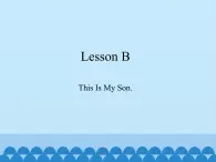 川教版（三年级起点）小学三年级英语下册 Lesson B  This Is My Son.   课件