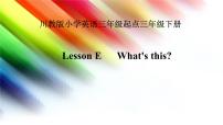 小学英语川教版三年级下册Lesson E What's this?教学演示课件ppt