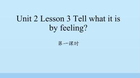 英语六年级下册Lesson 3 Tell what it is by feeling多媒体教学课件ppt