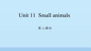 沪教牛津版(六三制三起)三年级上册Module 4 The world around usUnit 11 Small animals教学课件ppt