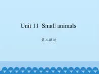 沪教版（三年级起点）小学三年级英语上册 Moduie 4 Unit 11  Small animals    课件