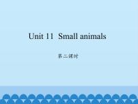 沪教牛津版(六三制三起)三年级上册Module 4 The world around usUnit 11 Small animals教学课件ppt