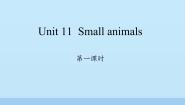 小学英语沪教牛津版(六三制三起)三年级上册Unit 11 Small animals多媒体教学课件ppt