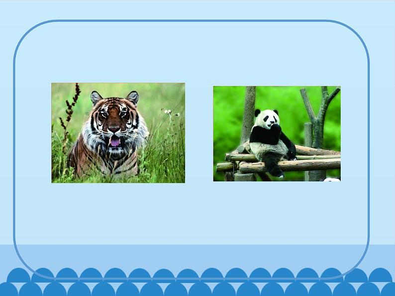沪教版(三年级起点)小学三年级英语下册 Moduie 2 Unit 4 Animals in the zoo 课件1第4页
