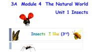 小学英语沪教牛津版(五四制)三年级上册unit 1 Insects图文课件ppt