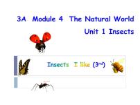 小学英语沪教牛津版(五四制)三年级上册unit 1 Insects图文课件ppt