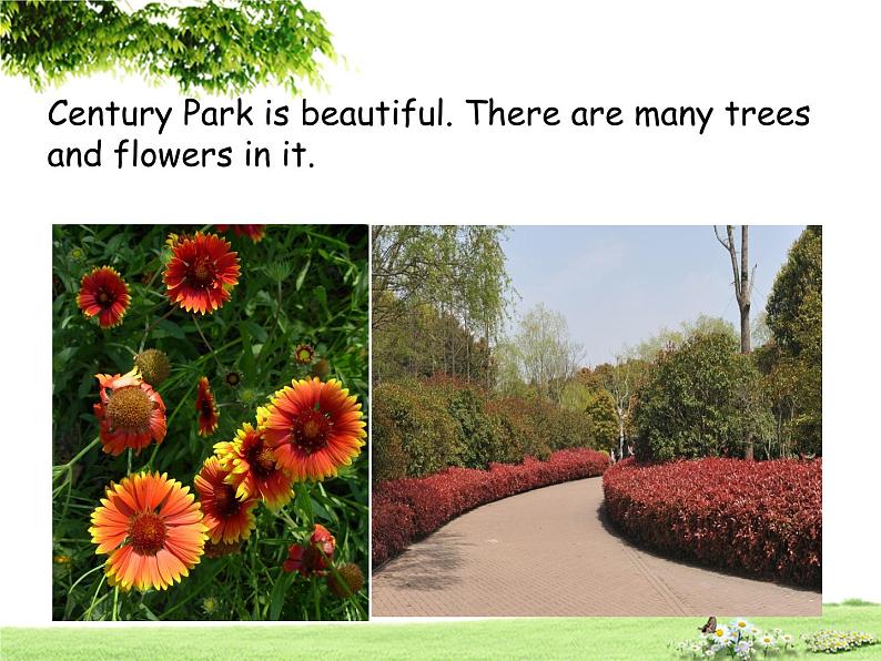 牛津上海版(试用本)小学四年级英语上册 Unit 4 Unit 2 At Century Park 课件06