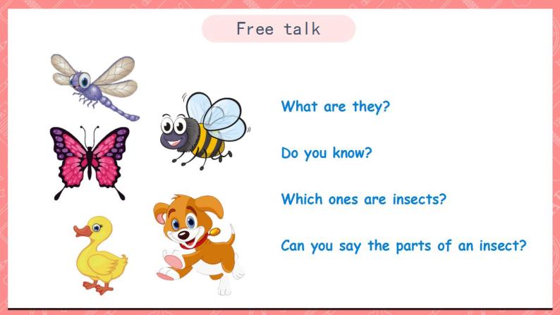 川教版英语五上 Unit 2 Lesson 2 《What's an Insect》 第一课时 课件+教案+习题02