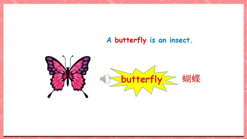 川教版英语五上 Unit 2 Lesson 2 《What's an Insect》 第一课时 课件+教案+习题04