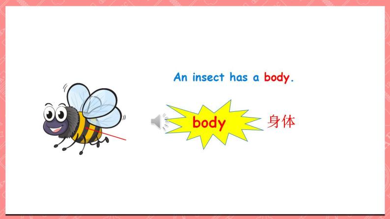 川教版英语五上 Unit 2 Lesson 2 《What's an Insect》 第一课时 课件+教案+习题06