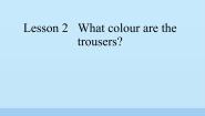 英语Lesson 2 What colour are the trousers?说课ppt课件