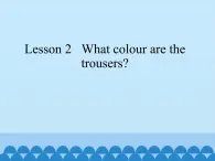 科普版（三年级起点）小学英语四年级下册  Lesson 2  What colour are the trousers  课件2