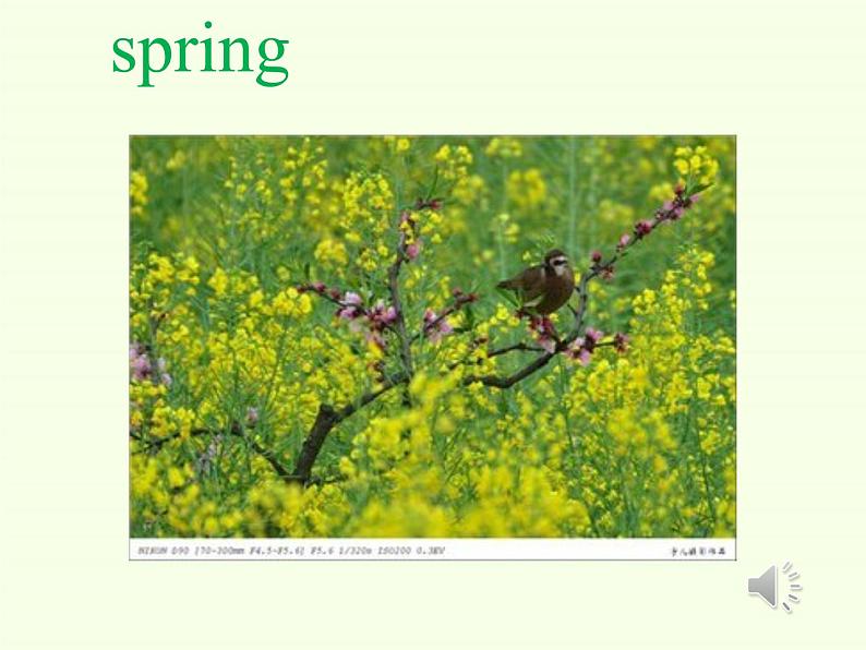 科普版(三年级起点)小学英语四年级下册 Lesson 9 I like summer 课件1第3页