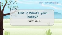 湘少版五年级上册Unit 9 What's your hobby?教学ppt课件