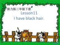 接力版（三年级起点）小学英语三年级下册  Lesson 11   I have black hair.   课件1