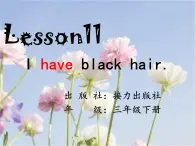 接力版（三年级起点）小学英语三年级下册  Lesson 11   I have black hair.   课件2