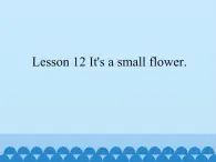 接力版（三年级起点）小学英语四年级上册  Lesson 12   It's a small flower.  课件