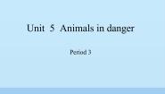 英语六年级上册Unit 5 Animals in danger图片ppt课件