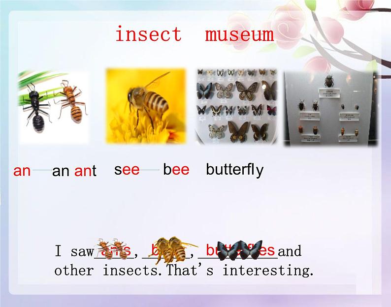 沪教版(六三制三起)小学六年级英语上册 Module 3 Unit 8 Visiting musems 课件3第6页