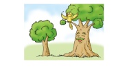 小学英语Unit 11 Trees教案