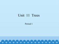小学英语沪教牛津版(六三制三起)六年级上册Unit 11 Trees教学课件ppt