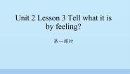 小学英语川教版六年级下册Lesson 3 Tell what it is by feeling备课课件ppt