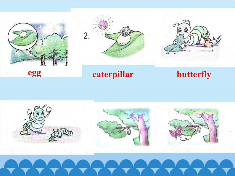 川教版(三年级起点)小学英语六年级下册 Unit 3 Lesson 1 He was a beautiful butterfly 课件第5页