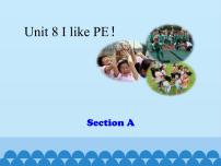 英语三年级上册Section A教学演示ppt课件