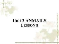 清华大学版一年级上册Unit 2 Animals教案配套ppt课件