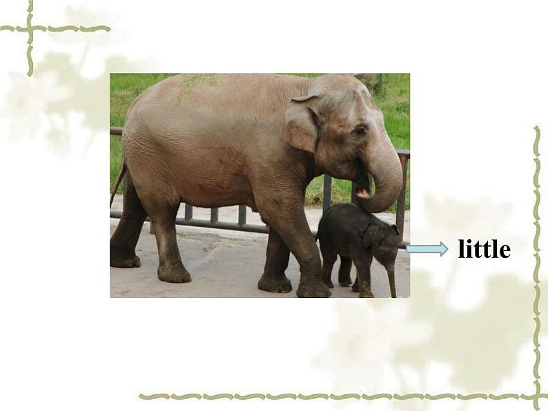 清华大学版小学英语一年级上册 UNIT 2 ANIMALS Lesson 8 课件第5页