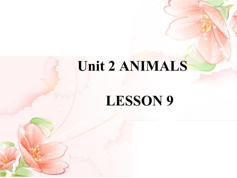 清华大学版小学英语一年级上册  UNIT 2   ANIMALS Lesson 9   课件01