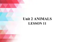 清华大学版小学英语一年级上册  UNIT 2   ANIMALS Lesson 11   课件