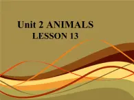 清华大学版小学英语一年级上册  UNIT 2   ANIMALS Lesson 13   课件