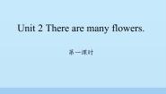 湘鲁版四年级下册Unit 2 There are many flowers.Section A教学ppt课件
