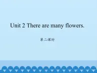 湘鲁版（三年级起点）小学英语四年级下册  Unit 2 There are many flowers.  课件1