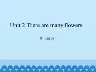 湘鲁版（三年级起点）小学英语四年级下册  Unit 2 There are many flowers.  课件2