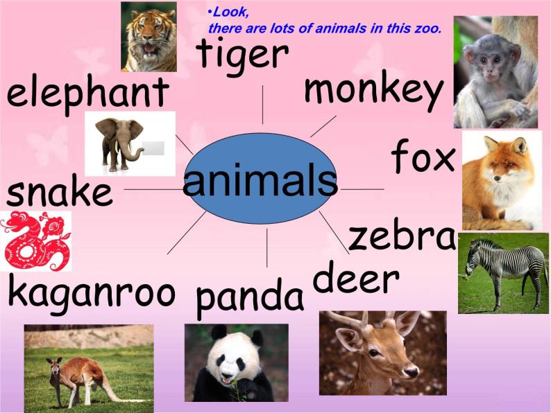 北京版小学二年级英语上册  Unit FourThere are many animalsLesson 13   课件05