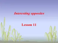 清华大学版小学英语三年级下册  UNIT 2 INTERESTING OPPOSITES-LESSON 11  课件