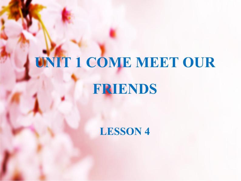 清华大学版小学英语六年级上册 UNIT 1 COME MEET OUR FRIENDS Lesson 4   课件01