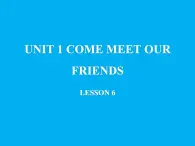 清华大学版小学英语六年级上册 UNIT 1 COME MEET OUR FRIENDS Lesson 6   课件