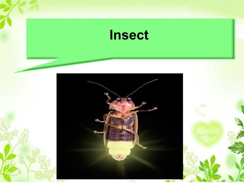 清华大学版小学英语六年级上册 UNIT 2 ANIMALS AND SCIENCE Lesson 9 课件第4页